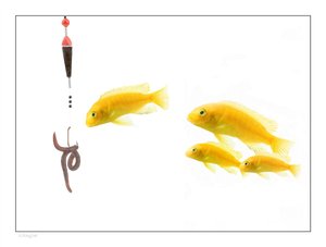 品牌策略常见问题品牌策略调整的最佳时机